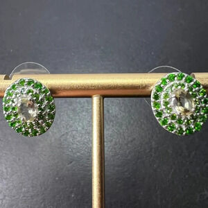 Turkizite and Chrome Diopside Platinum Over Sterling Silver halo Earrings